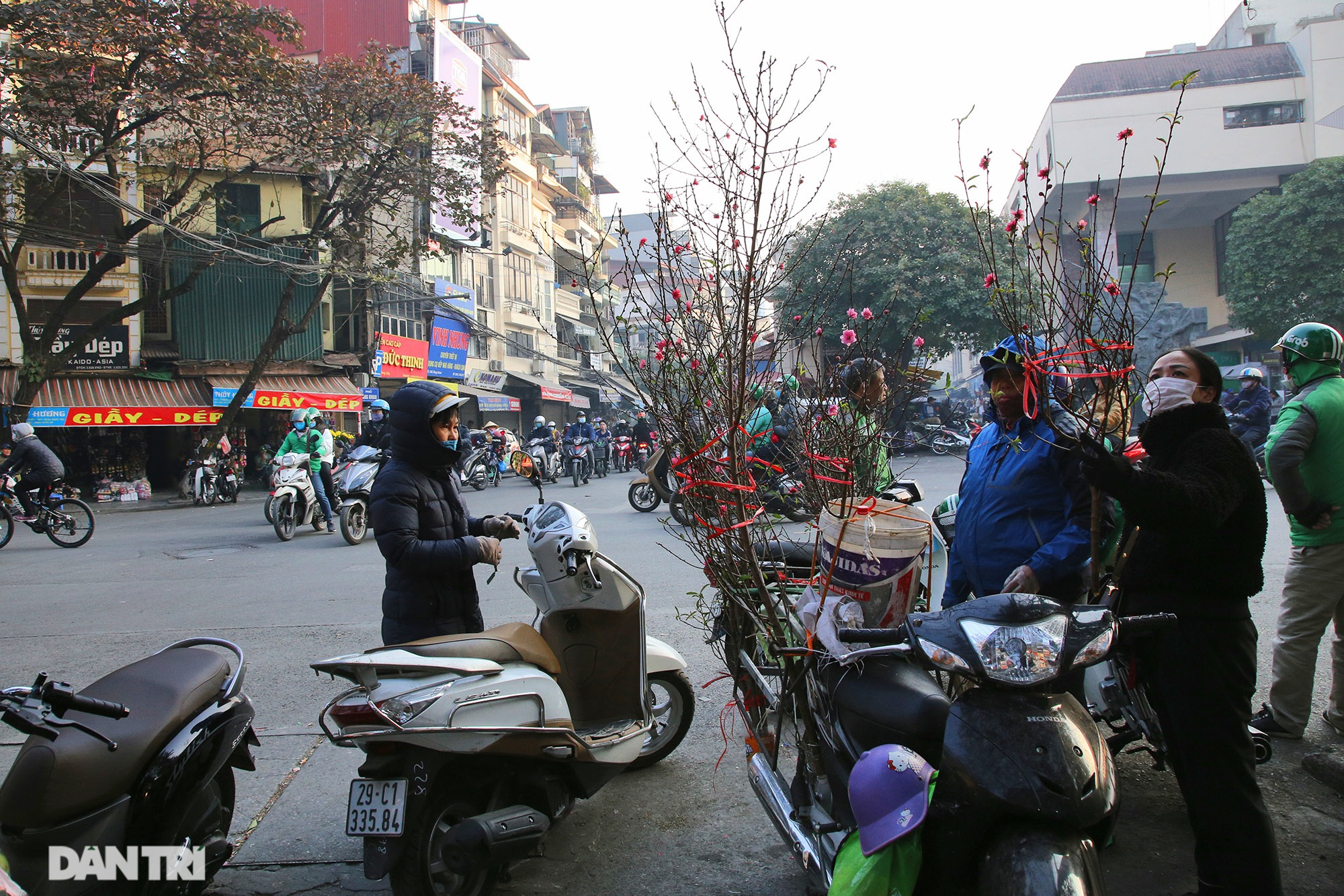  Thời điểm hiện tại ở khu vực phố cổ Hà Nội, đào cành chủ yếu được mang về từ Nhật Tân, đây là nơi cung cấp loại đào bích ưa thích vào dịp Tết của người dân thủ đô.