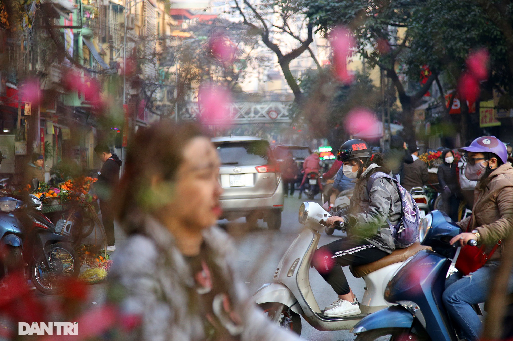  Sắc hoa đào đỏ mang lại không khí Tết đậm đà trên đường phố thủ đô Hà Nội.