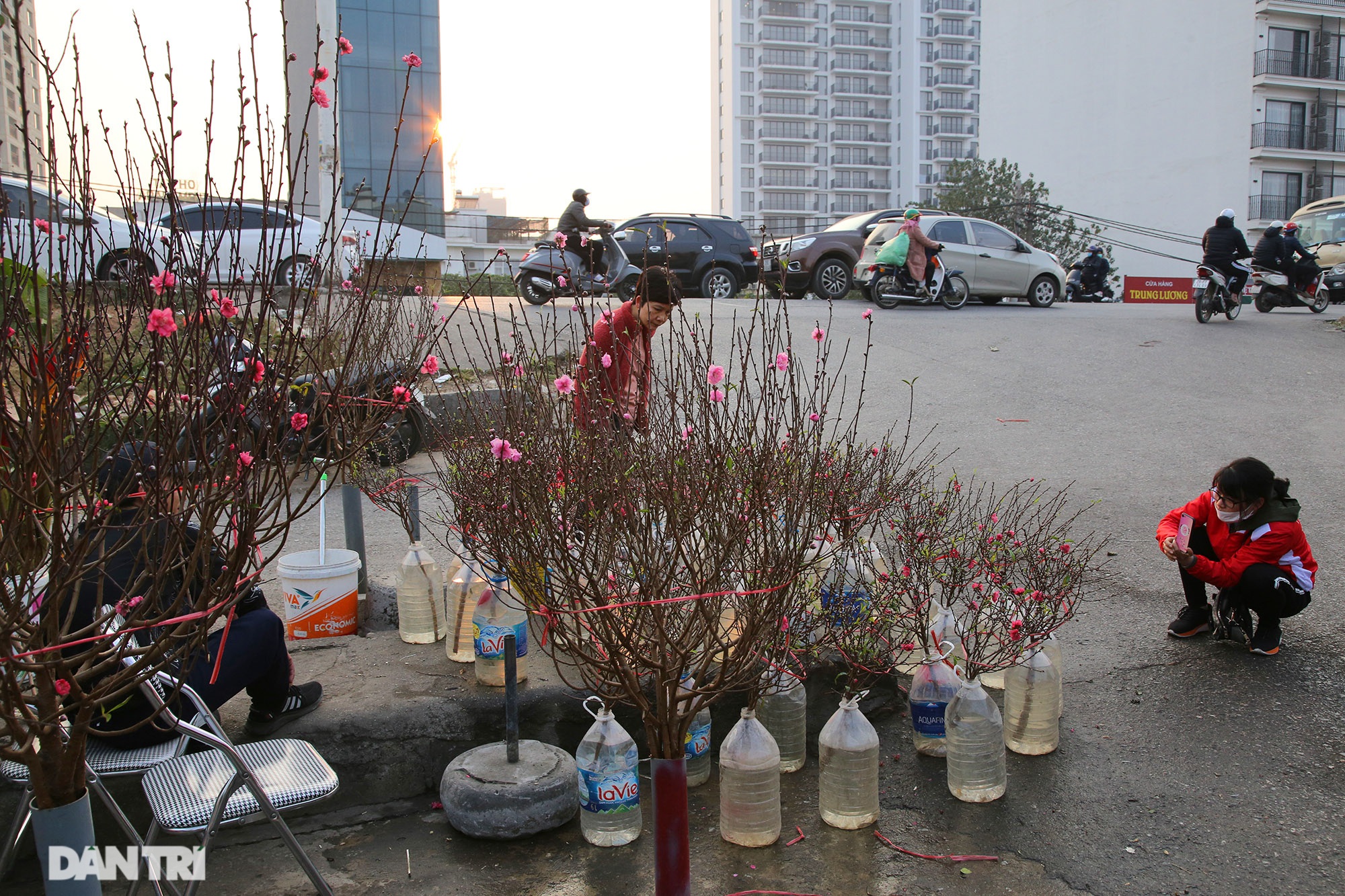  Chọ hoa Quảng An họp khá sớm, hoa đào được bày bán từ sáng đến chiều muộn với lượng khá dồi dào. 