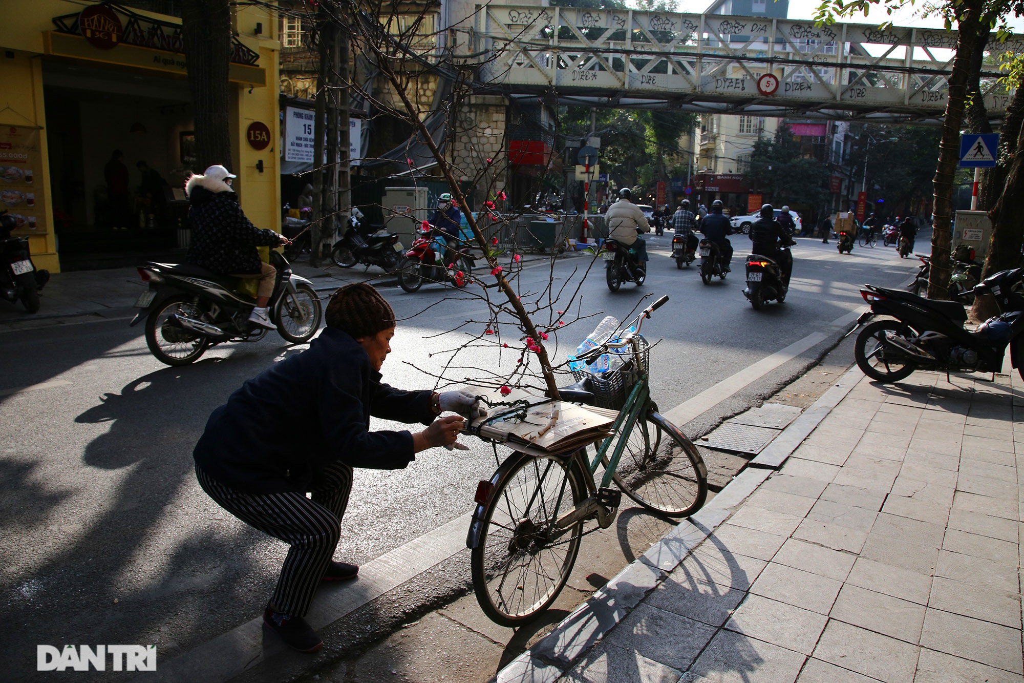  Những cành đào len lỏi khắp các con phố trong nắng sớm ấm áp của thủ đô Hà Nội.