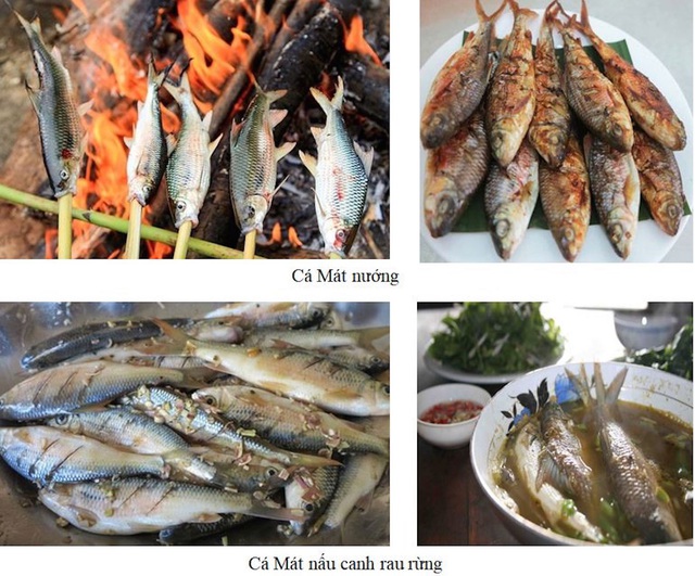  Cá Mát và những món ăn đặc sản miền Tây Nghệ An.