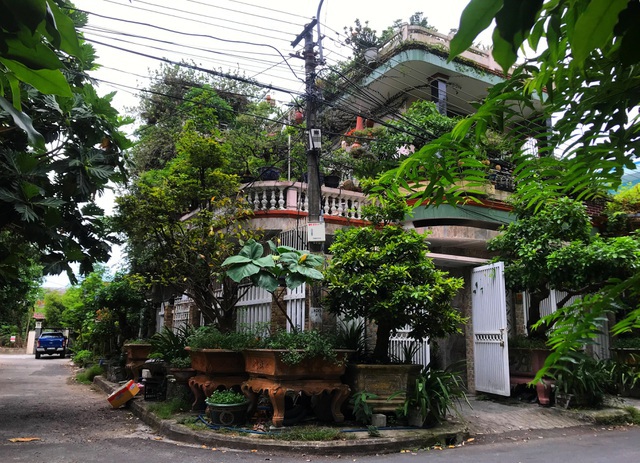  Trong giới chơi cây cảnh ở Việt Nam, không ai xa lạ với ông Lê Thạch - người đi đầu với trào lưu chơi bonsai ngược. Căn nhà của ông cũng độc đáo, khác biệt với hệ thống cây xanh bao phủ xung quanh, nhìn từ xa không khác gì một khu rừng nhiệt đới thu nhỏ.