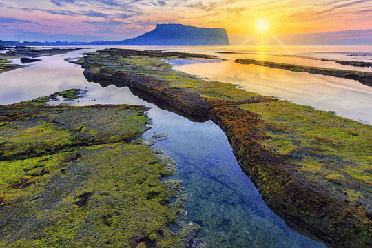  Đảo núi lửa Jeju: Là đảo lớn nhất nhưng lại là tỉnh nhỏ nhất ở Hàn Quốc, Jeju có diện tích bề mặt 1.846 km2. Được hình thành từ những đợt phun trào núi lửa nên bất cứ đâu trên đảo cũng là đá đen, xốp, nhẹ và đặc biệt rất hút nước. Ảnh: fodors.
