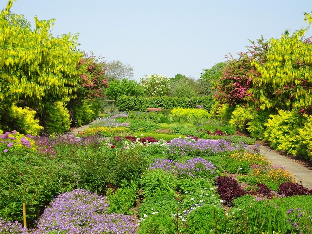  Hoa nở rực rỡ, cây xanh mướt mắt, quy hoạch đẹp là cảm nhận chung của mọi người khi bước vào khu vườn Breezy Knees ở Yorkshire, Anh. Đây là công trình chứa đựng nhiều tâm huyết của dược sĩ Colin Parker và vợ của ông Marylen sau 20 năm cần mẫn.