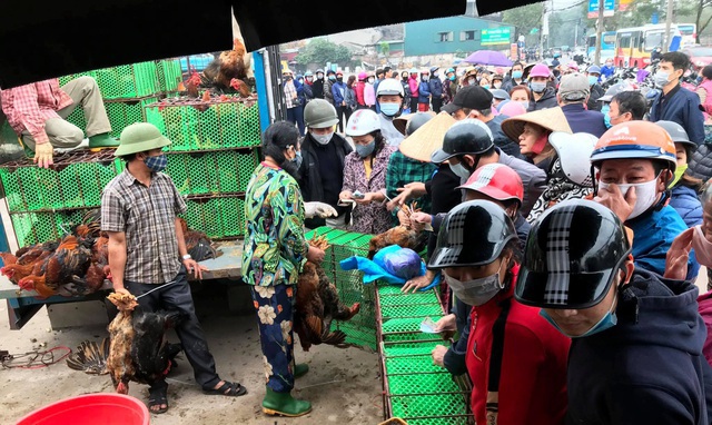  Người dân Thủ đô đổ xô đi mua gà giải cứu trên đường Tam Trinh (Hà Nội). Ảnh: Phi Hùng.