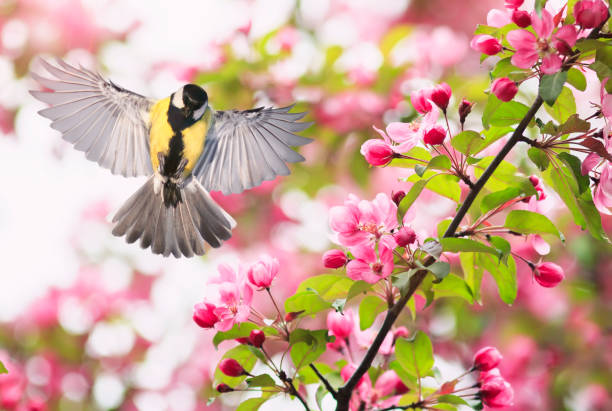 Mùa xuân tới, vận may của con giáp tuổi Thìn gặp sẽ dần được cải thiện. Ảnh minh họa Istockphoto