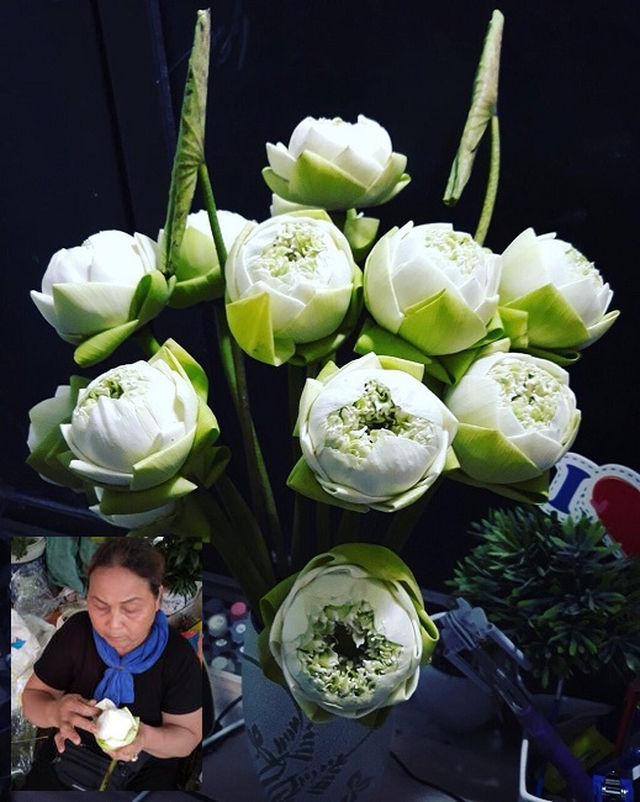  Muốn cắm bình hoa sen Quan âm trắng đẹp tinh khôi, bung nở duyên dáng, tươi và bền sắc thì cần biết cách dưỡng hoa. Ảnh: N.H