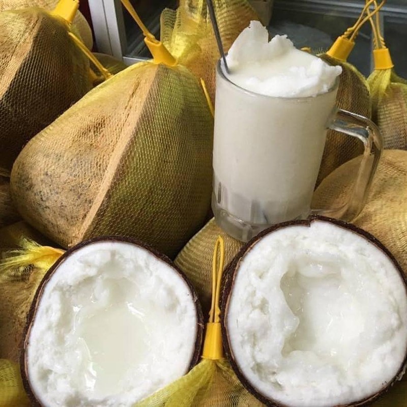  Dừa sáp Trà Vinh có thể chế biến thành nhiều món ăn ngon, lạ miệng, trong đó dừa dầm trái cây được nhiều người yêu thích nhất. Ảnh: Facebook