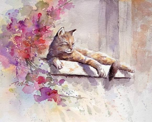 (Ảnh minh họa)