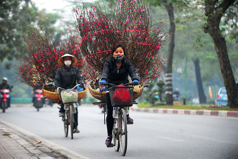  Ảnh minh họa: Internet