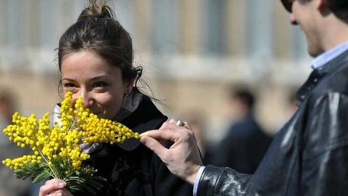  Đàn ông Italia thường tặng hoa mimosa vàng cho phụ nữ vào ngày 8/3