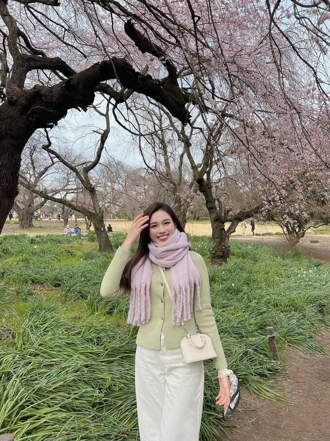  Hoa hậu Đỗ Hà ngắm hoa anh đào Nhật Bản.