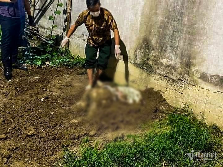  Lực lượng chức năng phát hiện thi thể nạn nhân D. tại vườn chuối - Ảnh: VietNamNet