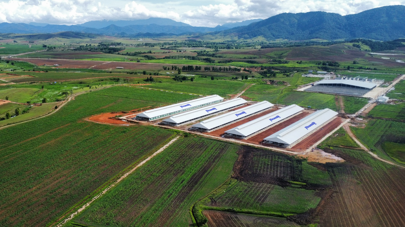  Trang trại Vinamilk Lào – Jagro tại cao nguyên Xiêng Khoảng (Lào) có tổng mức đầu tư giai đoạn một là 150 triệu USD. 