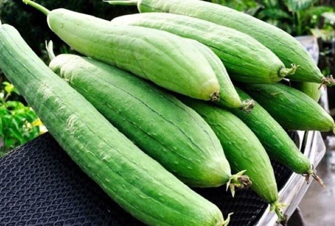  Loại quả này có công dụng thanh nhiệt, hóa đàm, trừ thấp, tiêu viêm, cầm máu.