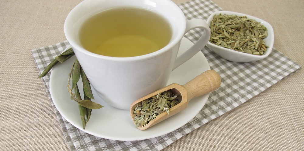 Trà lá ô liu có thể điều chỉnh huyết áp mà không có nguy cơ gây hạ huyết áp quá mức.