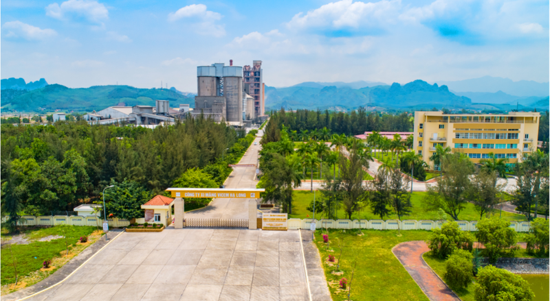   Công ty xi măng Hạ Long.