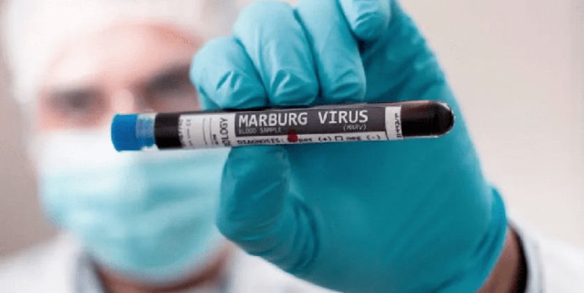  Virus Marburg có thể lây từ người sang người - Ảnh: Báo Sức khỏe và Đời sống