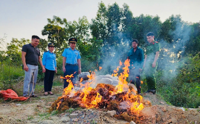  ... và bị tiêu huỷ