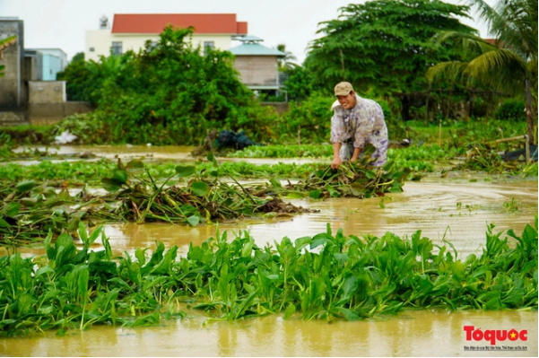  Khu vực hai tỉnh Khánh Hòa và Phú Yên đang có mưa lớn kéo dài.