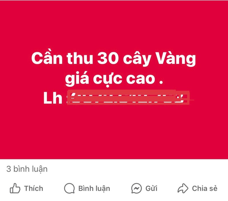  Trên mạng, có người rao mua vàng với số lượng lớn, giá cực cao. Ảnh chụp màn hình. 