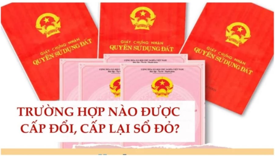  Ai cần đi đổi lại Giấy chứng nhận quyền sử dụng đất trước 1/1/2025?