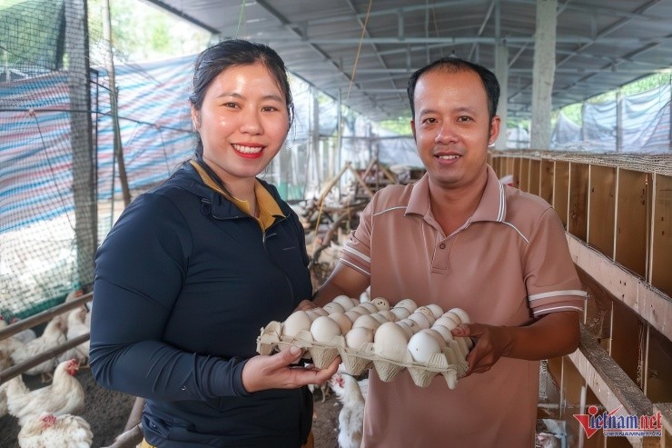  Vợ chồng anh Điệp thành công với mô hình nuôi gà “nhân đạo”. 