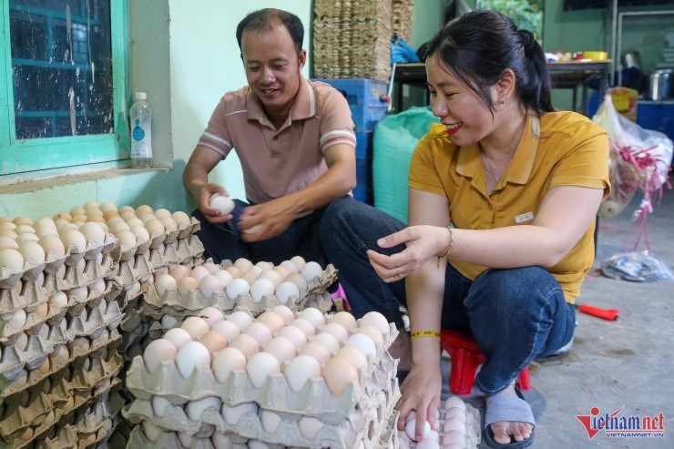  Sản phẩm trứng gà “nhân đạo” đoạt giải nhì cuộc thi khởi nghiệp sáng tạo tỉnh Quảng Nam. 