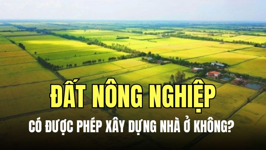  Ai được xây nhà trên đất nông nghiệp?