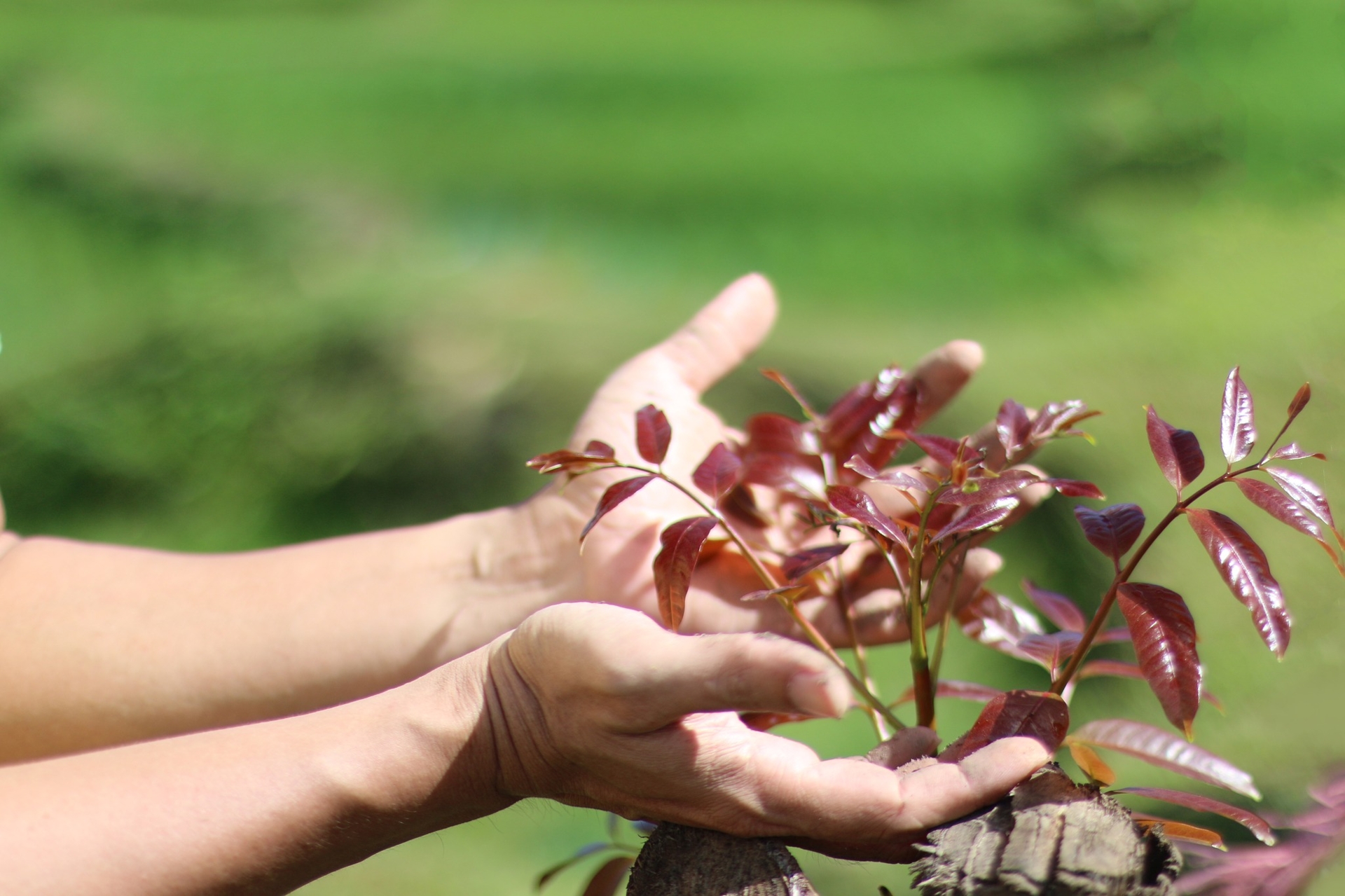  Mỗi giây phút ta sống trọn vẹn nhận biết là ta đã sống với cái hoàn hảo nhất của cuộc đời...