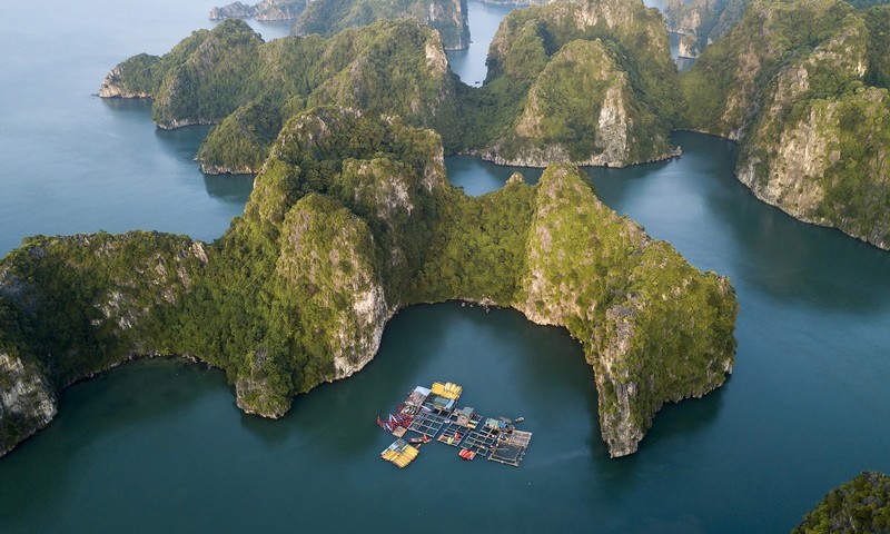  Việt Nam được coi là hình mẫu hợp tác với UNESCO và các Cơ quan tư vấn của UNESCO và là trường hợp điển hình của việc bảo tồn di sản thế giới.