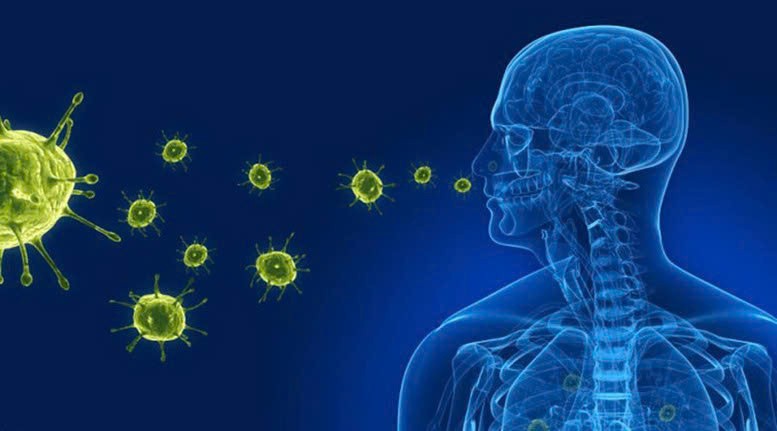   Virus gây viêm phổi trên người human metapneumovirus (HMPV) lây lan nhanh với triệu chứng tương tự như cúm, Covid-19. Ảnh minh họa