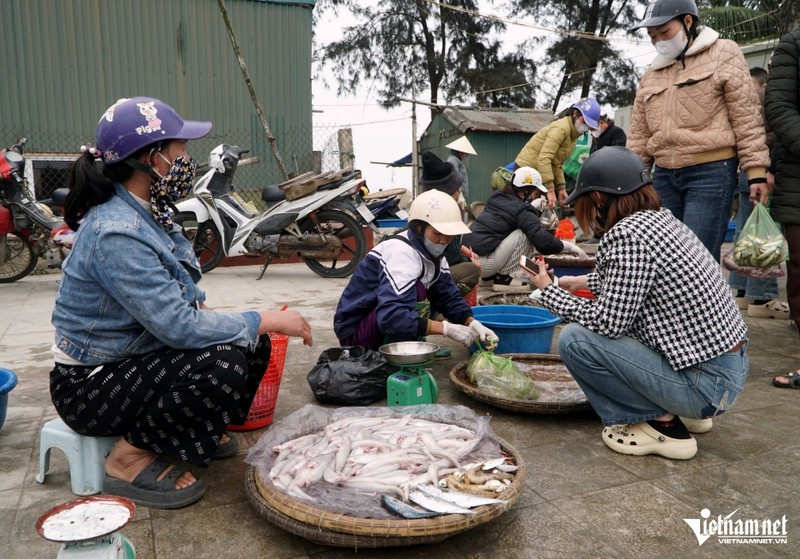   Sau Tết, nhiều người có nhu cầu mua cá khoai. Ảnh: Lê Dương