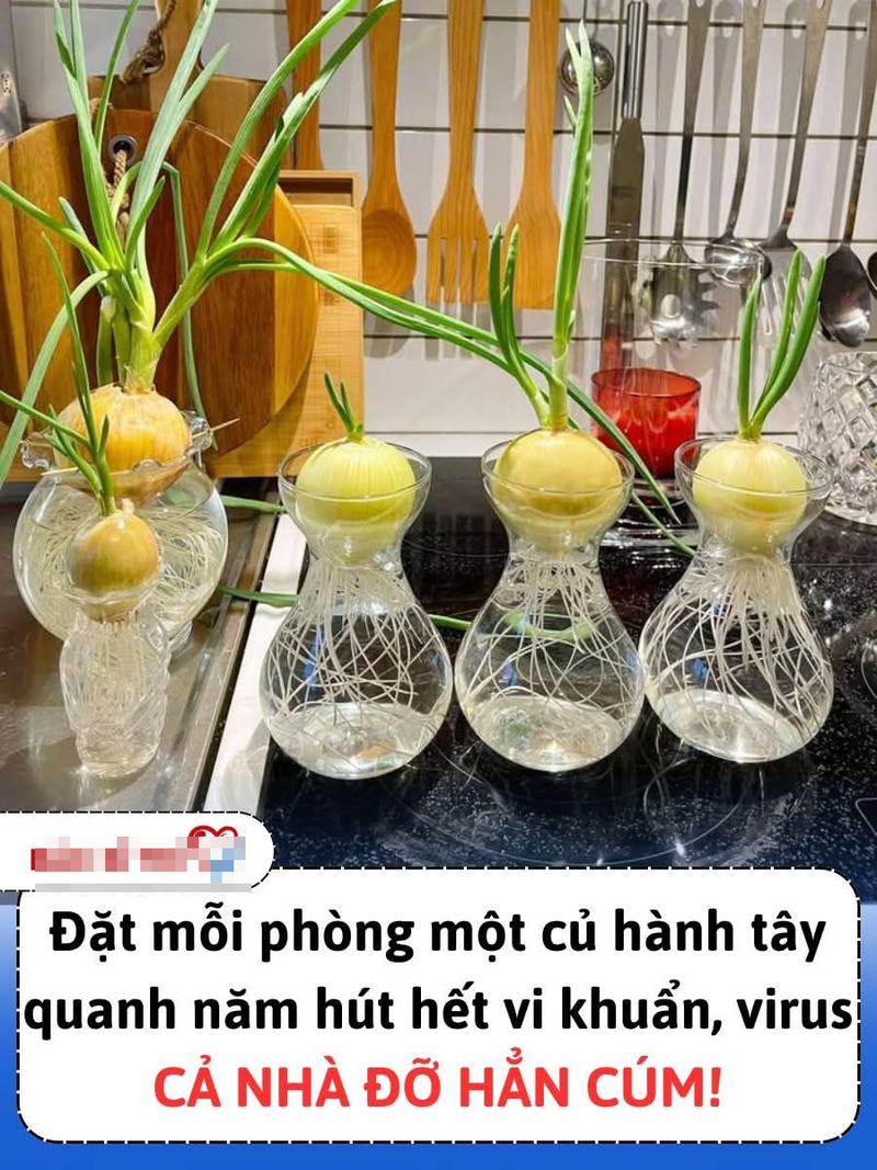  Bài chia sẻ trên mạng xã hội về tác dụng của củ hành tây. Ảnh: Chụp màn hình. 