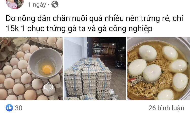   Nhiều người đăng bài 