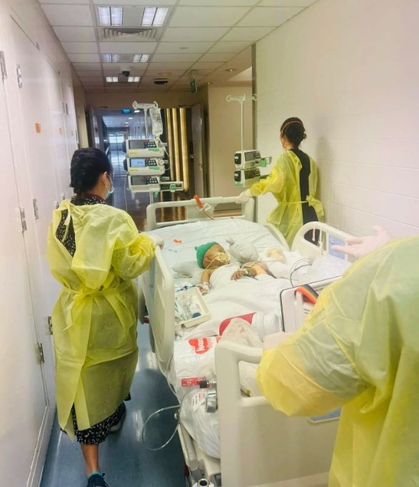 Những hình ảnh mới nhất về bé Bắp được chị Hòa cập nhật