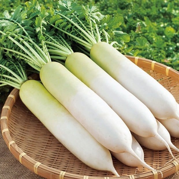 Củ cải trắng.