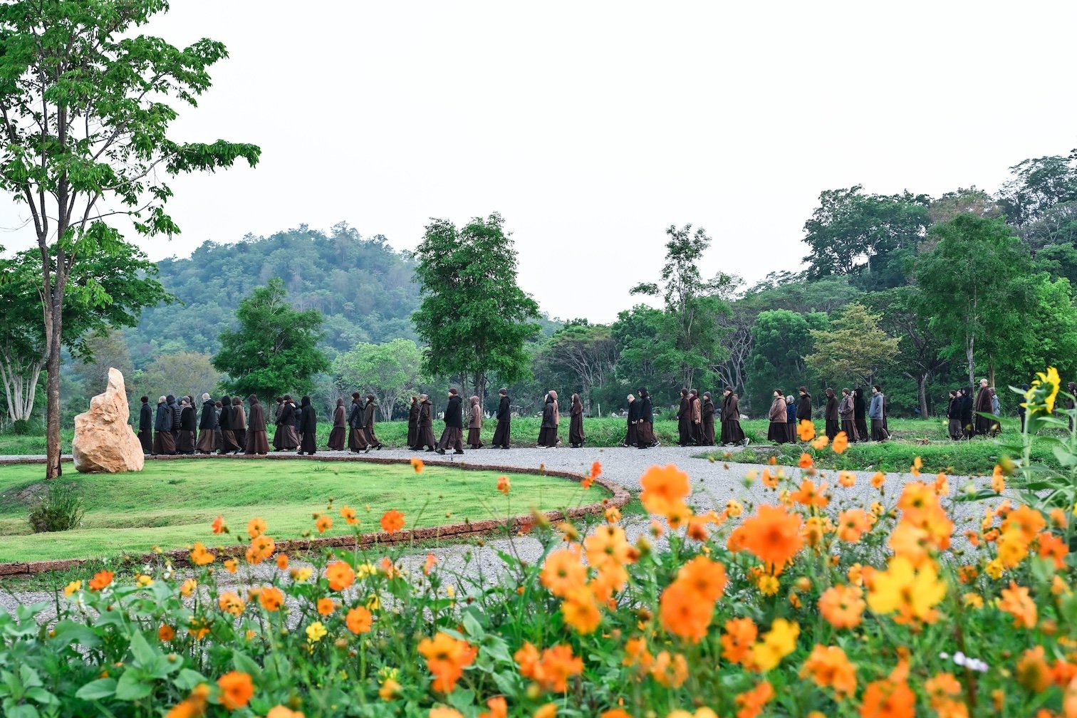 Ảnh: Làng Mai