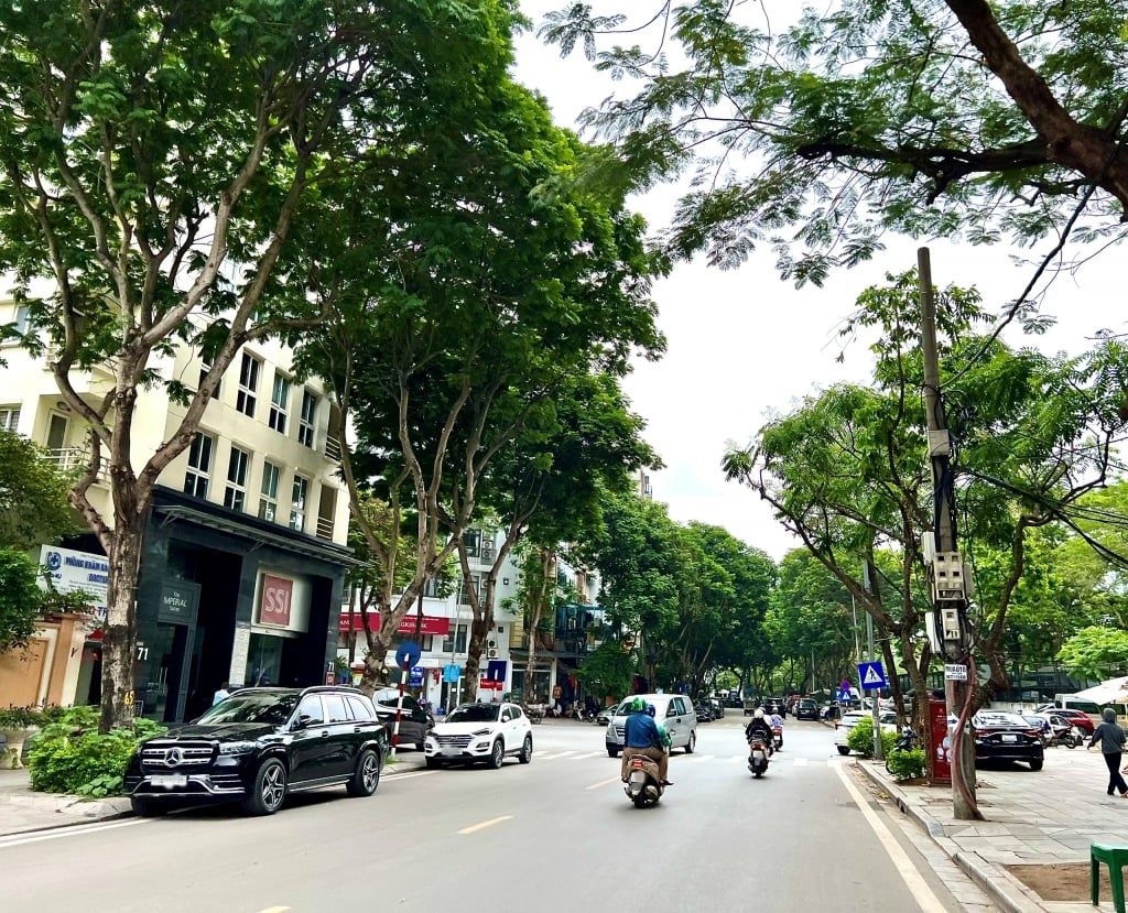 Dự báo thời tiết 12/5: Bắc Bộ ngày nắng, gió nhẹ; Nam Bộ mưa rào rải rác. Ảnh: Vân Lê