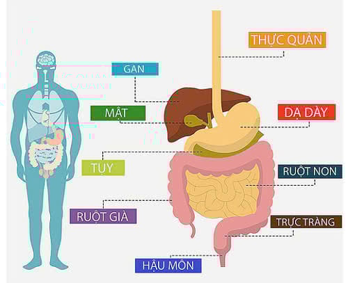 Ảnh minh hoạ/ Nguồn: Internet