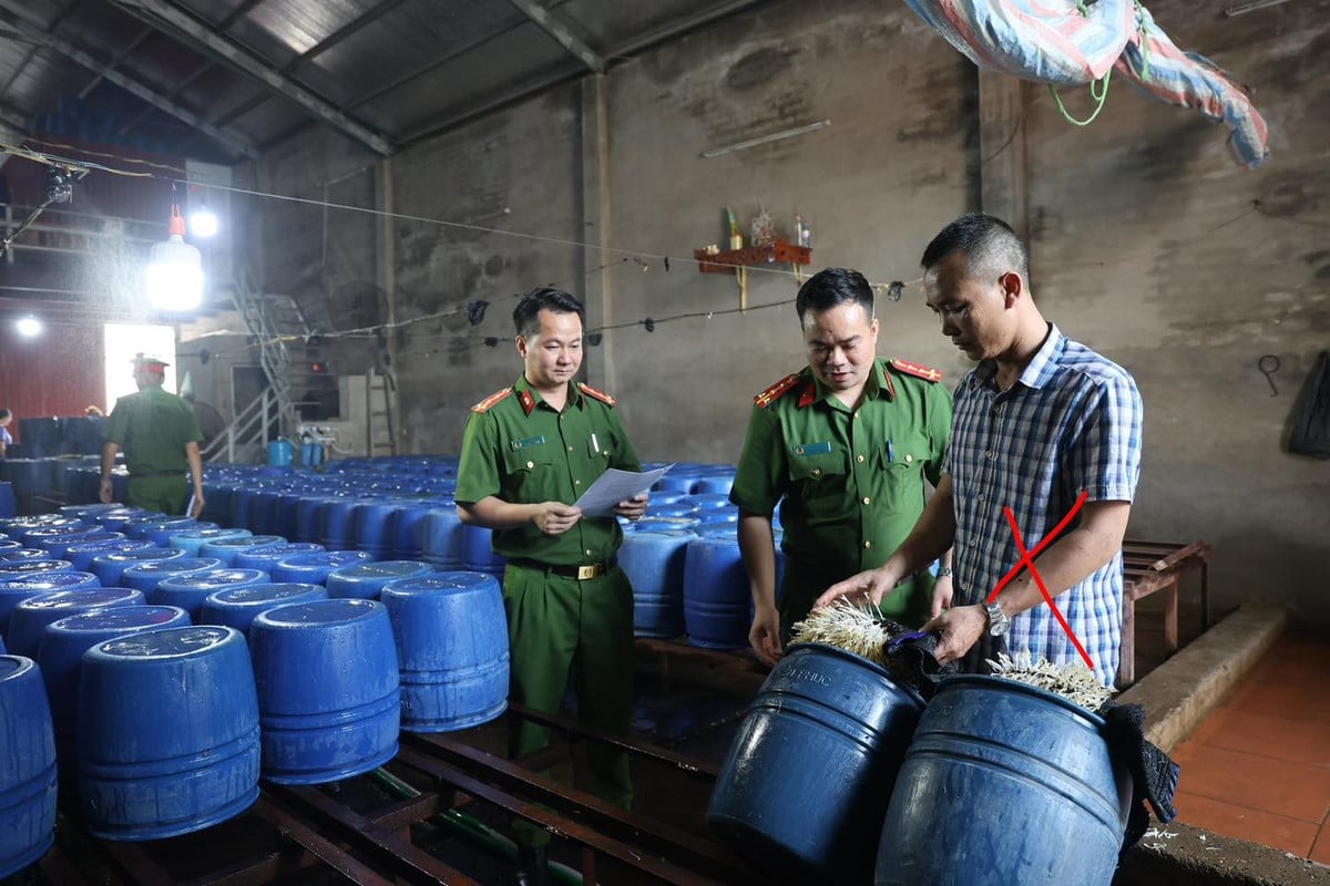 Cơ quan Công an đọc các quyết định đối với Nguyễn Văn Tân (áo kẻ)