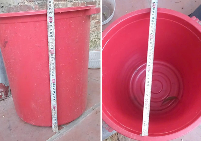 Xô nước bệnh nhi ngã vào - Ảnh: Báo Sức khỏe và Đời sống