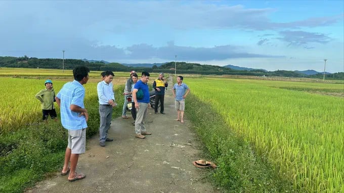 Hiện trường vụ việc. Ảnh: DQ.