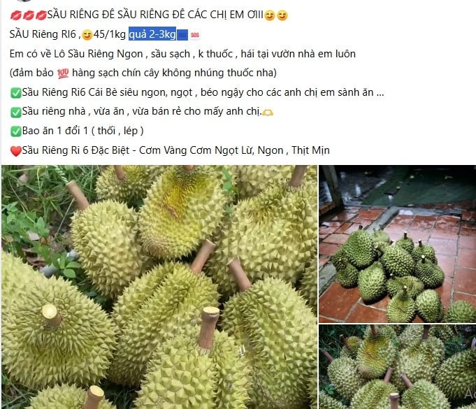 Sầu riêng Ri6 rao bán trên chợ mạng. Ảnh chụp màn hình