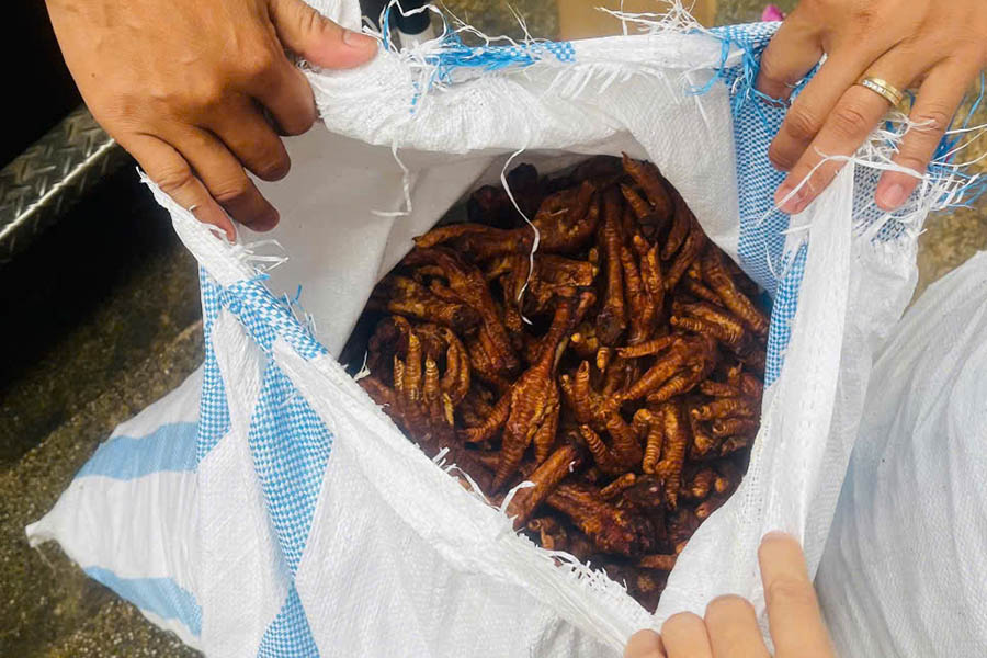 Lượng lớn chân gà đã mốc xanh, mốc đỏ bỏ trong bao lớn. Ảnh: Báo Lao Động.