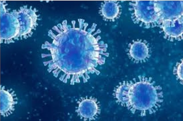 Biến chủng mới của SARS-CoV-2. Ảnh: HCDC