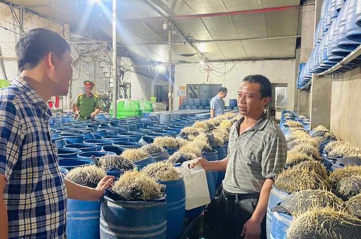 Cơ sở sản xuất giá đỗ ở Lào Cai - Ảnh: Báo Tuổi Trẻ