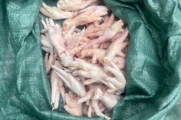 Lực lượng chức năng Móng Cái bắt giữ gần 8 tấn chân gà không rõ nguồn gốc. Ảnh: Báo Người Lao Động.