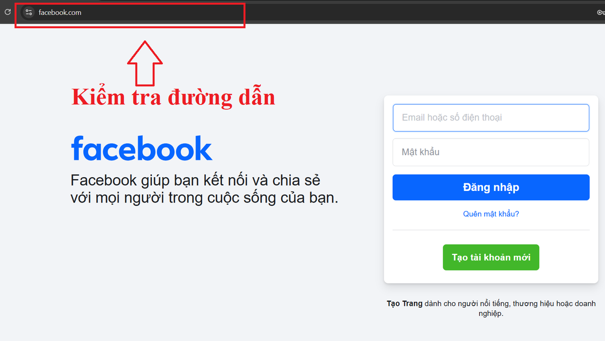 Khi được yêu cầu đăng nhập, luôn phải kiểm tra đường dẫn trang web. Ảnh: Tuệ Minh.