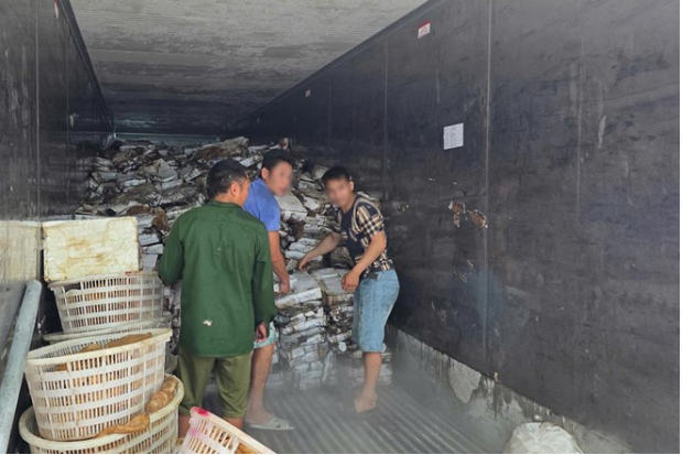 Hàng hóa cất giấu trong kho lạnh tại TP Móng Cái, Quảng Ninh - Ảnh: Báo Lao Động